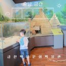 [충남 금산] 금산역사문화박물