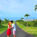 양대농장 이미지