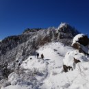 설악산 눈사태 (겨울산에 상존하는 위험들) 이미지