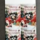 뽀댕뽀댕 이미지