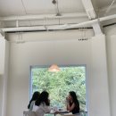 카페오프더커프
