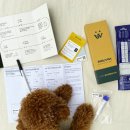 윌리스빌 이미지