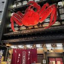 어른이들의 소꿉놀이 미니어처 | 일본 삿포로 겨울 우정 여행 3박 4일 일정 1일차 니카상 털게 맛집 카니야 본점 스스키노 대관람차...