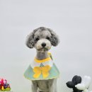 멍린이 대공원 이미지