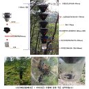 천공일사 | 8월 감귤 재배 기술 정보