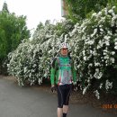 화순온천 이미지