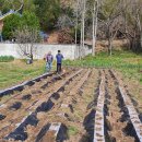 보리감자마을 이미지