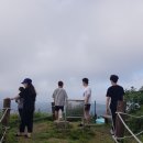 메르블루 이미지