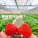 향아농원 이미지