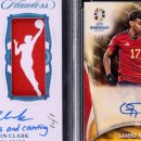 비즈코비
