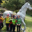 감정초교 이미지