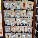 그루밍가든 이미지