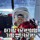 바인스짐 | 가평캡틴카라반 / 독일 바인스버그1 내돈결제 이용후기 / 아기랑 카라반여행