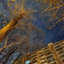 세종로약국 이미지