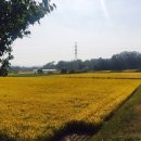 풍경마을 버스정류장주변 이미지