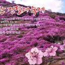영취산 민박 이미지