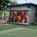 펫플러스라이프 이미지