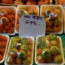 현대청과 네이버블로그