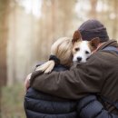 The Man's Dog 이미지