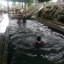 회수동 Daum카페