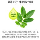 웰씨드 이미지