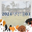 댕댕스쿨 이미지