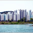 엘드라곤 이미지