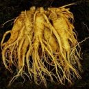 오색슈퍼 이미지