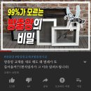 창문을 닫아도, 방충망을 쳐도 자꾸 벌레가 들어와요!!!! 이미지