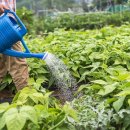 광명농장2 이미지