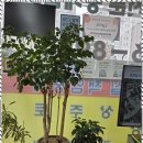 남양부동산중개사무소 이미지