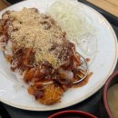 코코로가츠