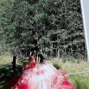 특별한 날, 나를 빛내줄 인생 한복 찾아 떠난 여정