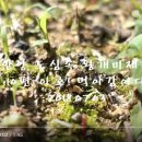 야호축산 이미지