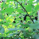 원창농장 이미지