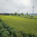 청양금강농장 이미지