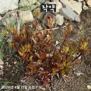 문경집