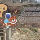 효자동 박태성정려비및묘 Daum카페