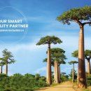 금호타이어 이미지