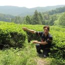 곽윤기 카카오 검색결과