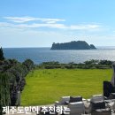 제주도 카페 추천 8곳