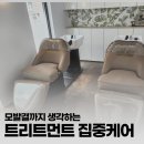 머리하늘날 네이버블로그