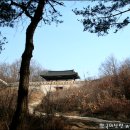 돌고개로 이미지