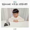 필링잉글리시 그림책 읽기 | 잉글리시 에그 가격 고민했지만 리뉴얼 디에그 Yellow 들인 후기