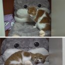 진상농장 이미지