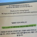 피그스타 | 수지 맛집 고기리 맛집 파스타 피자, 분위기 좋은 피그미엘 후기