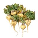 마카오래 이미지