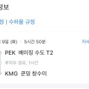 외대갈매기 이미지