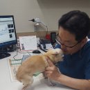 최광호동물병원 이미지