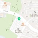 용인대 대동 태권도 이미지